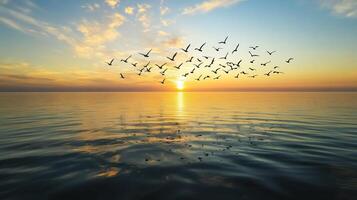 A group of migrating birds soaring over a calm ocean at sunset, with the warm glow reflecting on the water photo
