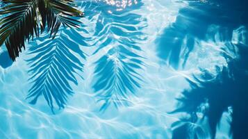 Bright blue pool water with gentle waves and bold tropical leaves' shadows cast across the surface photo