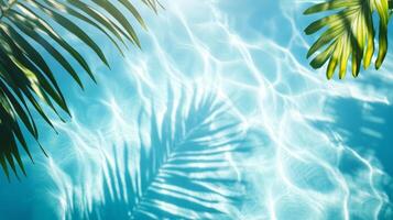 Sunlight filtering through tropical leaves, their shadows falling on soft aqua waves against a blue pool backdrop photo