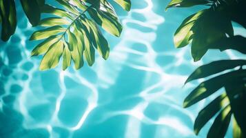 Sunlight filtering through tropical leaves, their shadows falling on soft aqua waves against a blue pool backdrop photo