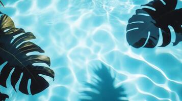 A playful combination of aqua waves and dark tropical leaf shadows contrasting against a light blue pool backdrop photo