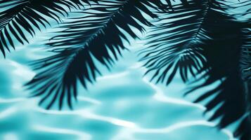 A tranquil water surface with tropical leaves casting dark shadows over bright aqua waves on a blue background photo