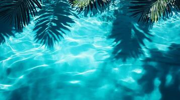 A tranquil water surface with tropical leaves casting dark shadows over bright aqua waves on a blue background photo