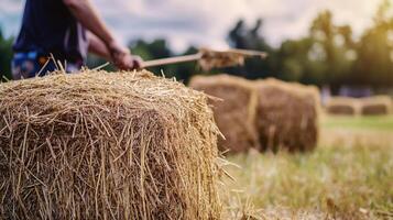 A bale of hay in the foreground, with a blurred farmer using a pitchfork to stack more hay in the background, capturing the essence of farm work photo