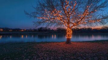Sparse autumn tree with glowing string lights wrapped around its branches photo