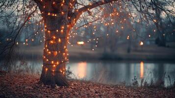 Bare autumn tree wrapped in glowing string lights photo