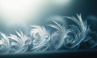A series of frosted-over leaves that are arranged in a spiral pattern photo