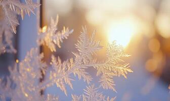 A snowflake with frost on it is shown in a window photo