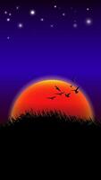 graphics image sunset and light orange silhouette of sunset with a bird in sky vector