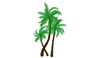 A group of palm tree with isolated white background vector