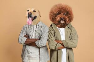Two dogs with amusingly edited human bodies pose confidently with their arms crossed. The setting features a neutral background, enhancing their playful expressions and unique characterizations. photo