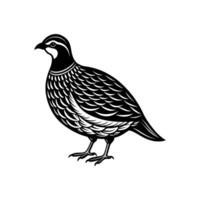 Quail Journey A Day in the Barnyard vector
