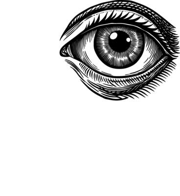 Timeless Eye Study