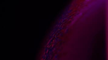Purple red bubbles in macro, connection of bubbles in macro, cell from liquid, molecules connection video