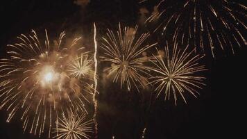 Fireworks Display with Happy new year 2025 animated . video