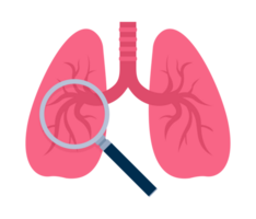 Lung inspection icon. Lung with magnifier searching. Lung cancer, trachea. png