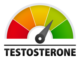 Testosterone level metering scale. Tracking and Managing Your Hormonal Health for Optimal Well-being png
