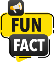 Megaphone label set with text fun fact. Fun fact announcement banner png
