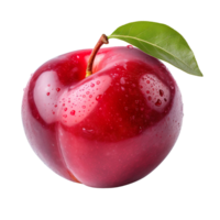 Fresh red plum isolated on transparent background png