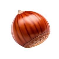 Hazelnut isolated on transparent background png