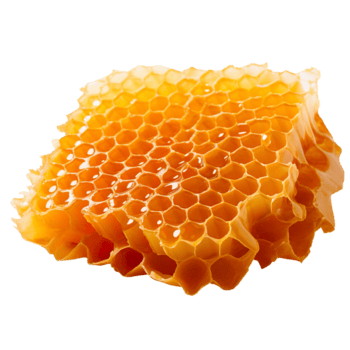 honey comb isolated on transparent background png