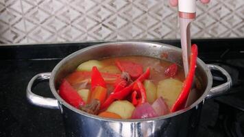 Chef mixes the ingredients of a delicious stew with a slotted spoon. Potatoes, carrots, onions, red peppers and meat are simmering in a metal pot on a black stove video