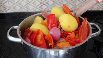 Chef stirring a bubbling stew in a pot on the stove with a skimmer. Aromatic vegetables and tender meat combine, creating a rich and savory dish video