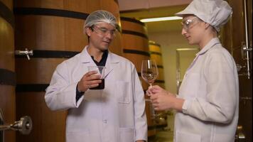 Professional winemaker controlling wine making process and quality at winery factory video