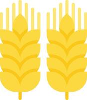 Two ears of wheat on a white background vector