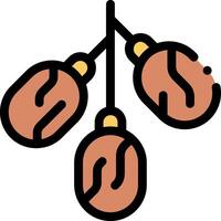 A pair of brown beans hanging from a string vector