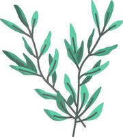 A green plant with leaves on it vector