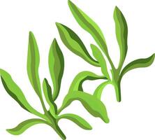 Green leaves on a white background vector