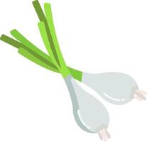 Two onions on a white background vector