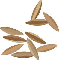 A bunch of wheat seeds on a white background vector