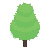 Green tree with lush foliage growing in three layers isometric icon vector