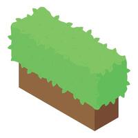 Green bush growing from wooden planter isometric view vector