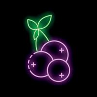 Neon sign representing a branch of three berries with leaves on black background vector