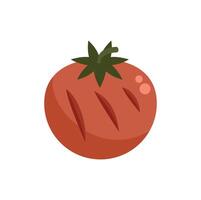 Grilled tomato showing its grill marks in a flat design vector
