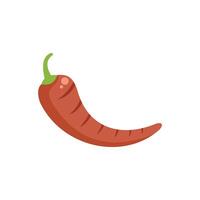 Grilled red chilli pepper lying horizontally vector
