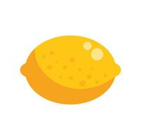 Single yellow lemon showing ripe skin texture vector