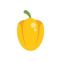 Yellow bell pepper growing on vine with white background vector