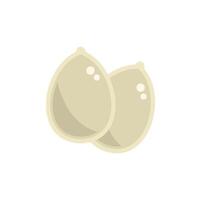 Two whole coconuts lying next to each other vector