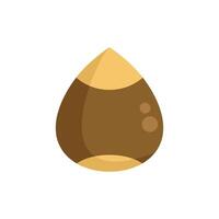 Hazelnut seed icon showing nut shelled and whole vector