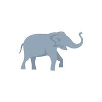 Large grey elephant walking and raising trunk vector