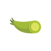 Fresh zucchini showing cross section with seeds vector