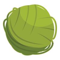 Fresh green cabbage showing healthy leaves for cooking vector
