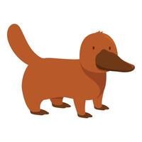 Brown platypus standing with webbed feet vector