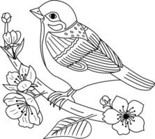 Sparrow on a cherry branch for a coloring book. Illustration of a cute sparrow sitting on a branch. Cherry blossom vector