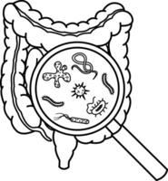 Intestinal Bacteria in a Magnifying Glass for Coloring. Microflora in the Large and Small Intestines. Illustration of Human Organs vector