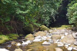 Green deep forest stone waterfall background photo
